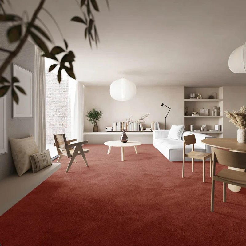 Modern burnt orange plush carpet in a minimalist, sunlit living room.